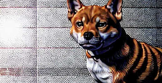 The DNI's Crypto Trap: Why Jay Clayton's Ascendancy Is the Most Underpriced Systemic Risk in the Bear Market