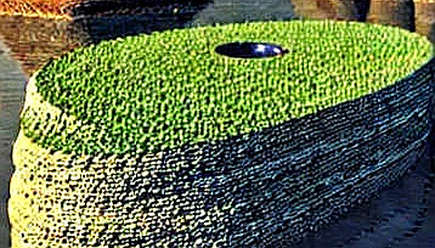 Fish Audio's $52M Bet: The Real Cost of Disrupting Voice AI Fish Audio's $52M Bet: The Real Cost of Disrupting Voice AI