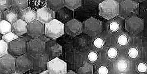 Micron's $250M AI Fund: A Strategic Pre-Emptive Strike on the Memory Throne