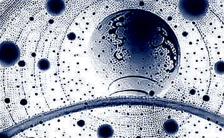 The Ox Alpha Mirage: Why Free AI Won't Save Crypto