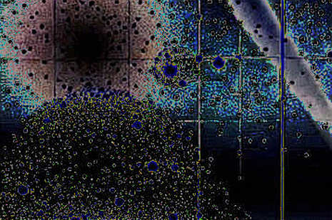 The $5 Million Whale Bid on Unitree's Pre-Market: A Liquidity Mirage or a Structural Shift?
