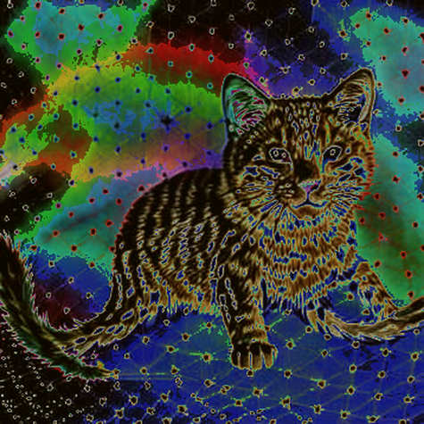 Stargate's Intent Mirage: Liquidity Fragmentation Hidden Behind a UX Layer
