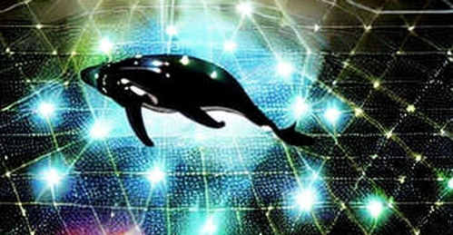 The Fractal Logic of Post-Halving Hashrate Centralization: Why Bitcoin's Security Guarantee is a Myth We Agreed to Believe