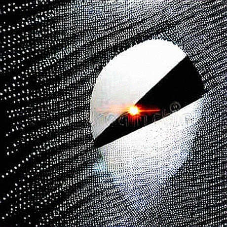 The $853 Million Signal: Why ETF Inflows Are Reshaping Bitcoin's Supply-Demand Calculus
