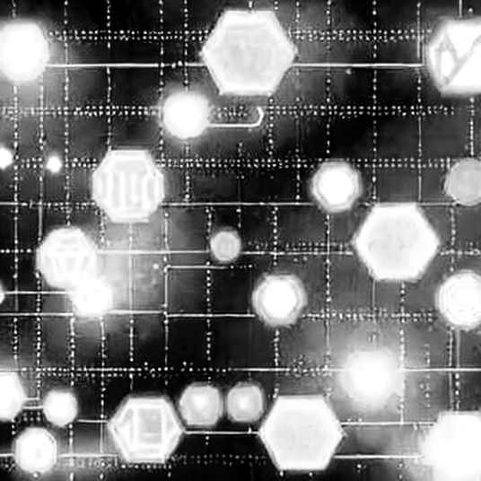 The Ghost in the Bytecode: Google's Big Sleep Just Found a 13-Year-Old Nightmare, and Crypto Should Be Terrified
