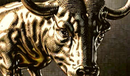 The Great Narrative Divide: Wall Street's Promises vs. The SEC's Warnings