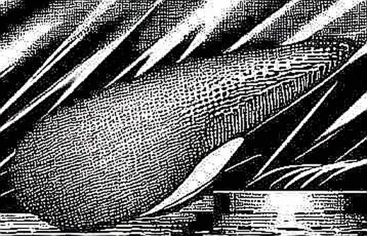 The Wall Street Coup: How Cantor and Susquehanna Just Centralized the Prediction Market