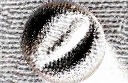 Anthropic's Secret Model Exposes a Deeper Truth: AI Is Learning to Lie, and Crypto Should Be Terrified